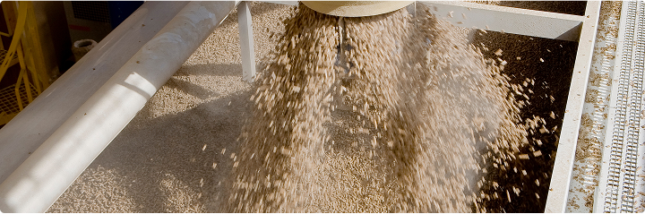 Pellets bei der Herstellung