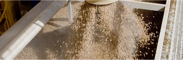 Wie werden Pellets hergestellt: Der komplette Produktionsprozess von Holzpellets