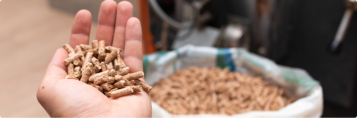 Von Gas auf Pellets umsteigen: Schritt-für-Schritt-Anleitung