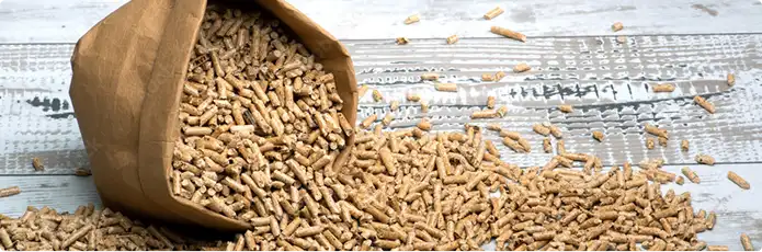 Pellets-Zertifikate im Überblick: ENplus, DINplus, FSC und PEFC erklärt