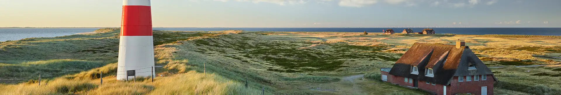 Holzpellets Schleswig-Holstein