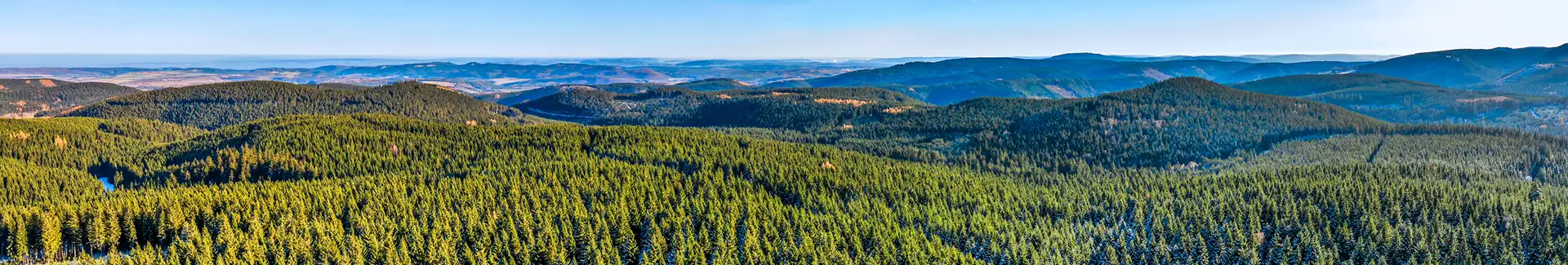 Holzpellets Thüringen